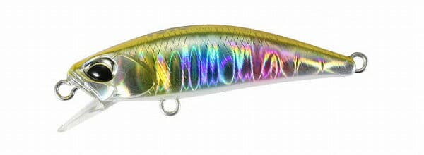 Duo Tetry Works Toto 42S Gold Rainbow