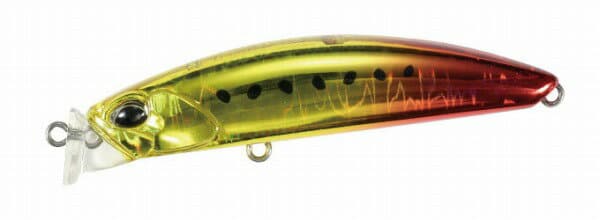 Duo Terifu Bullet Burning Gold Iwashi