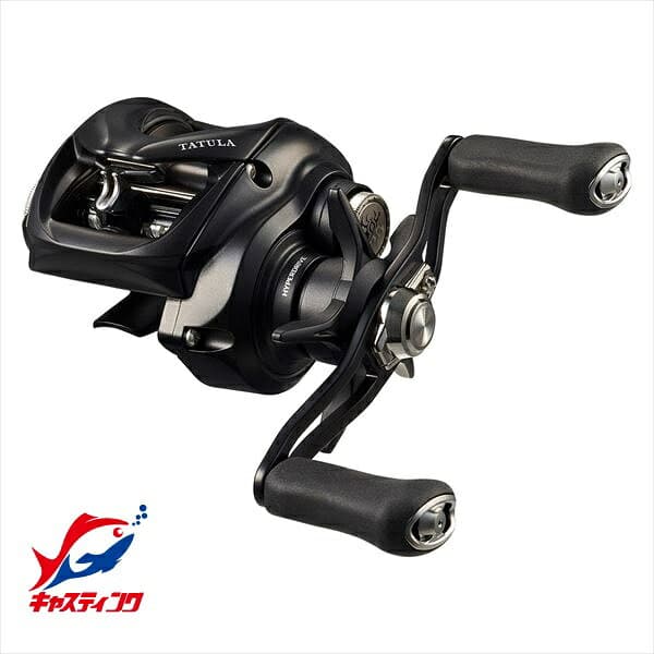 Daiwa 24 Tatula TW 100XHL (Left Handle)