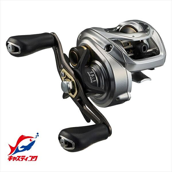 Daiwa 24 Bass X 100H (Right Handle)
