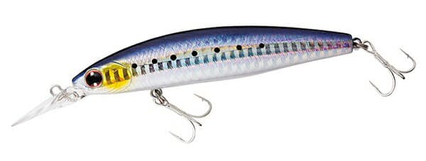 Daiwa Shoreline Shiner Z Set Upper 97S-DR Laser Iwashi