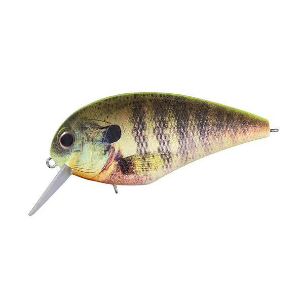 OSP Blitz Magnum SR Matte ChartBack Real Gill RP07