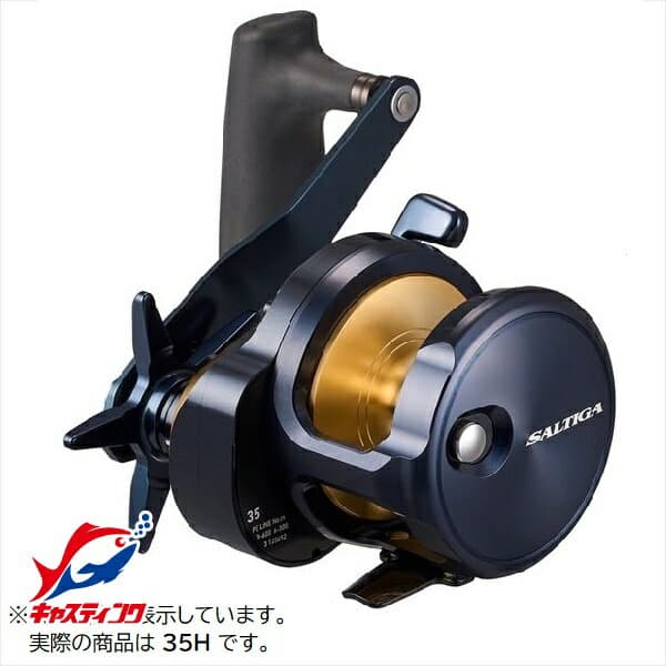Daiwa 25 Saltiga 35H