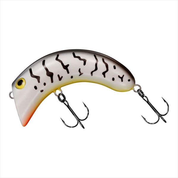 Daiwa Cashew Nut White Coach Dog