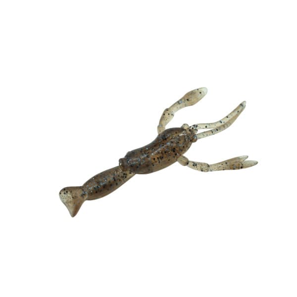 Dstyle Ebison Boy Lake Shrimp
