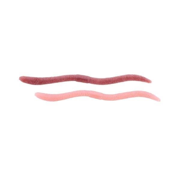 Jackall Flick Shake 500 4.8 inch Livelee Mimizu