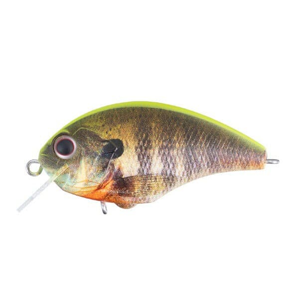 OSP Tiny Blitz Matt Chart Back Real Gill RP07