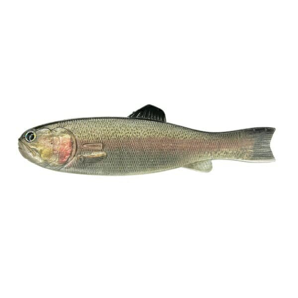Imakatsu Bass Worm 145 #S-485 3DR Rainbow Trout