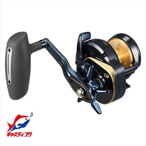 Daiwa 25 Saltiga 10