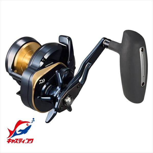 Daiwa 25 Saltiga 10HL