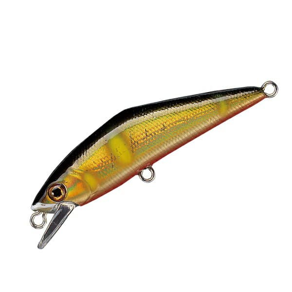 Smith Trout Plug D-Contact 50 #24 G Ayu