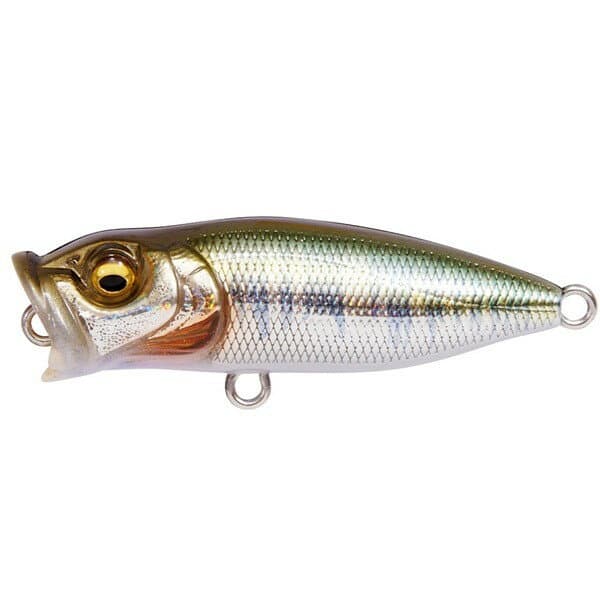 Megabass Baby POP-X GG Hass
