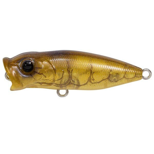 Megabass Bass Lure Baby POP-X Giant shrimp
