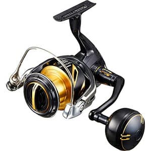Shimano 20 Stella SW 5000HG