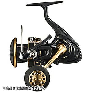 Daiwa 23 BG SW 4000D-CXH
