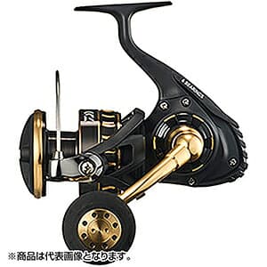 Daiwa 23 BG SW 8000-P
