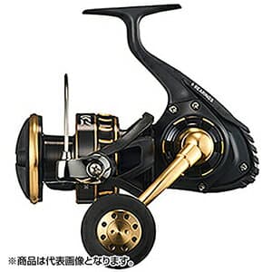 Daiwa 23 BG SW 8000-H