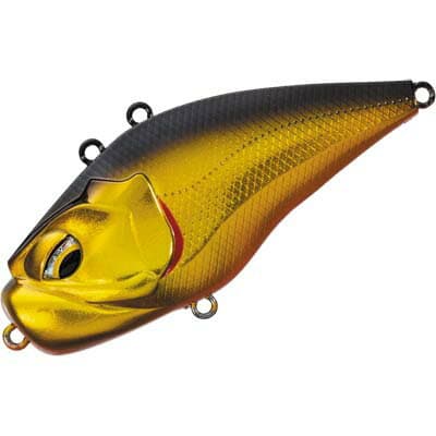 Valleyhill GIGANOTO Light 01 Kin Kuro Orange Berry