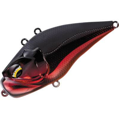 Valleyhill Giganoto Light 02 Akameta