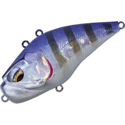 Valleyhill Giganoto Light 04 Purple Gill