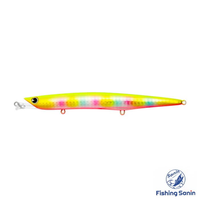 Ima 24 Flute 138F 009 Coach Dog Clear