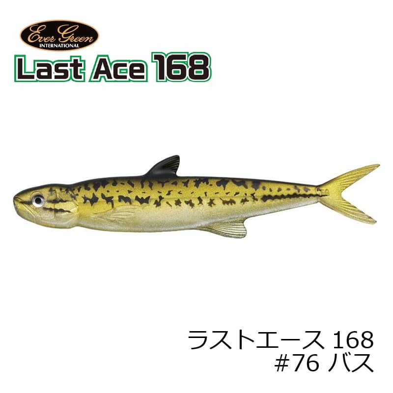 Evergreen Last Ace 168 #76 Bass