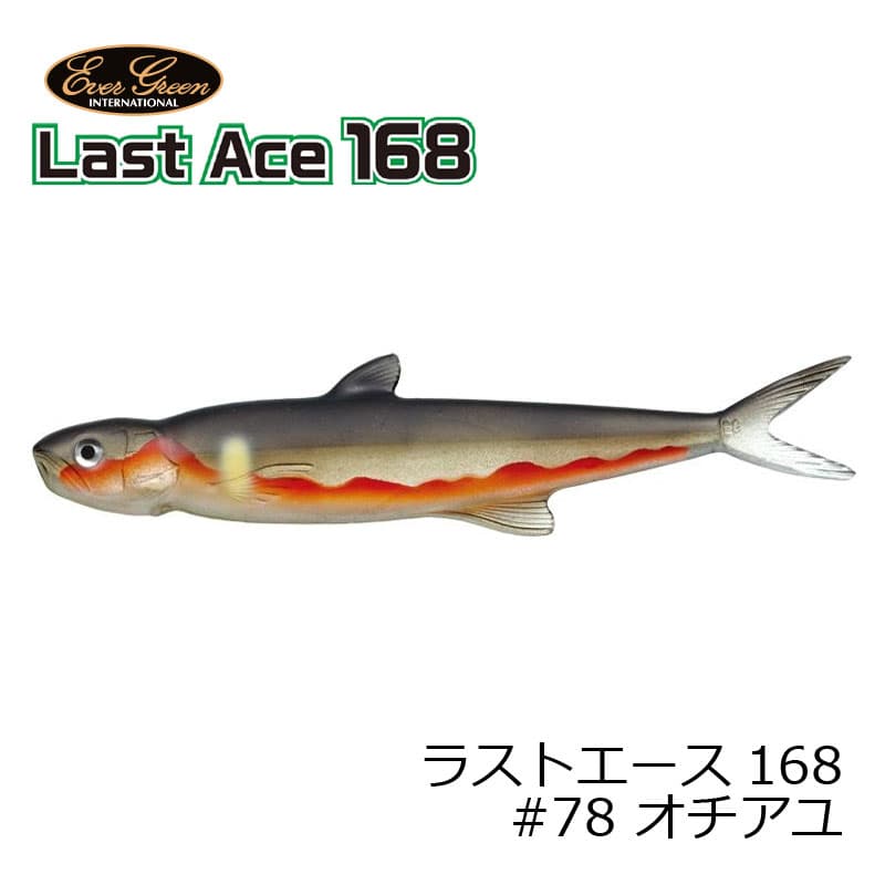Evergreen Last Ace 168 #78 Ochi Ayu 168mm 26.5g