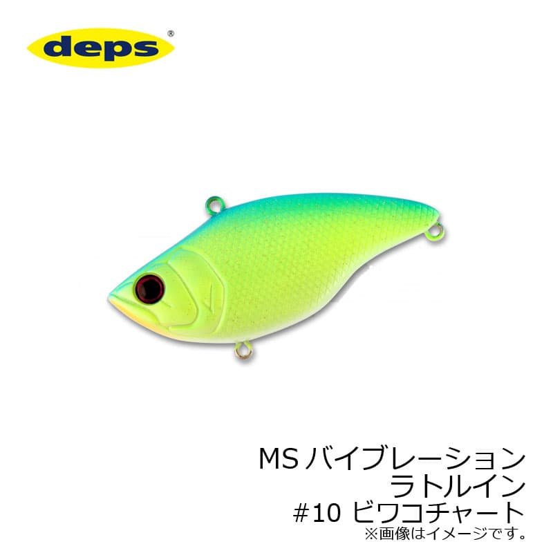 Deps MS Vibration Rattlin RT #10 Biwako Chart