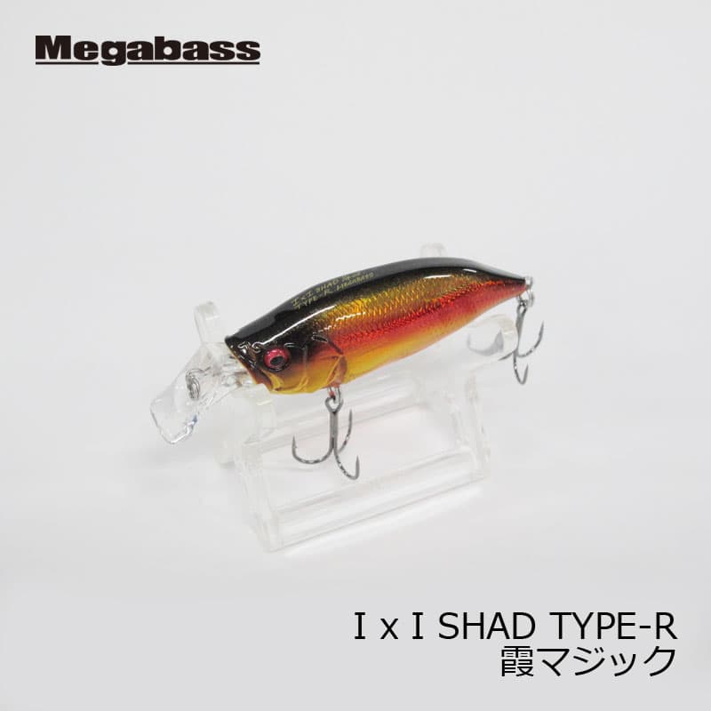 Megabass IXI Shad Type-R Kasumi Magic
