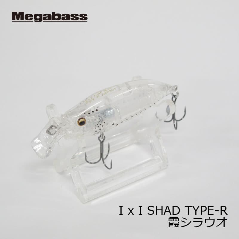 Megabass IXI SHAD (Ixi Shad) Type-R Kasumi Shirauo