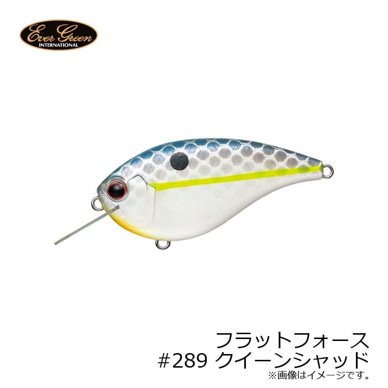 Evergreen Bass Lure MoDO Flat Force #289 Queen Shad