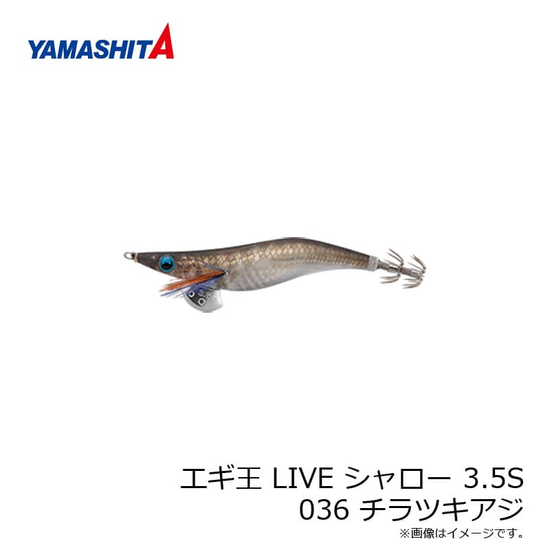 ヤマシタ　エギ王 LIVE シャロー 3.5S 036 チラツキアジ ナチュラル布 金デザインホロ+490グロー　/エギ 2019年 新製品 エギング 定番 アオリイカ エギ王 ライブ