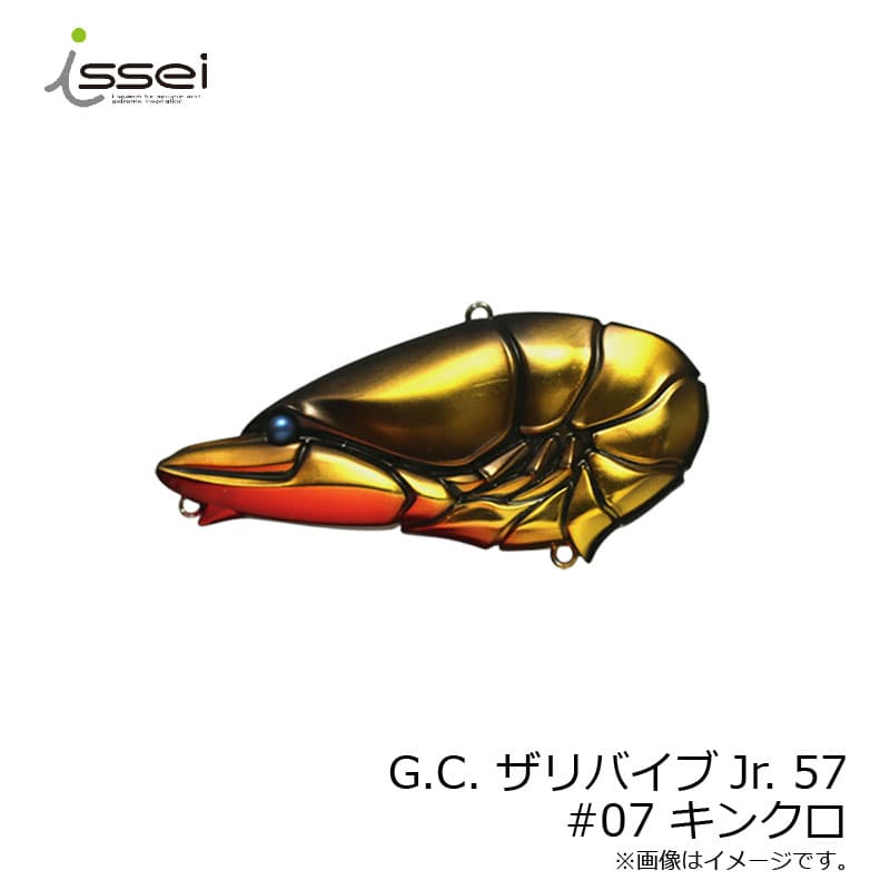 Issei G.C. Zari Vibe Jr. 57 #07 Kin Kuro