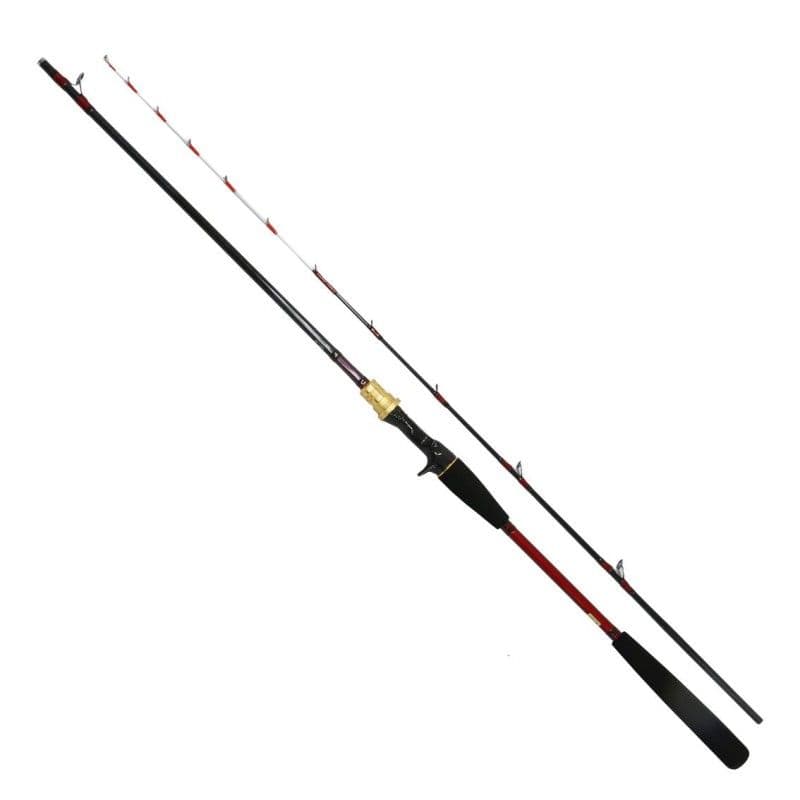 Daiwa Analyster Tenya Tachiuo Setouchi 195