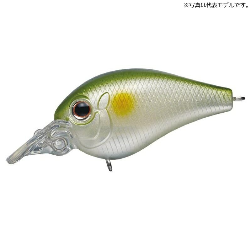 Evergreen Piccolo Dive Shallow #27 Ayu