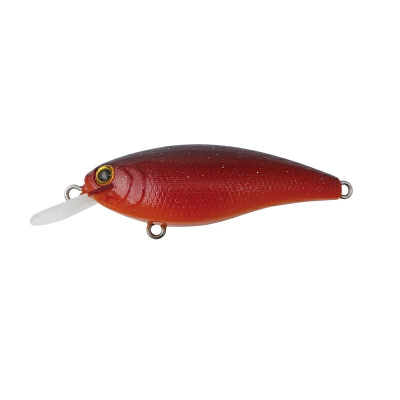 Bottomup Reazzy Appeal Plus PL016 Cosmo Red