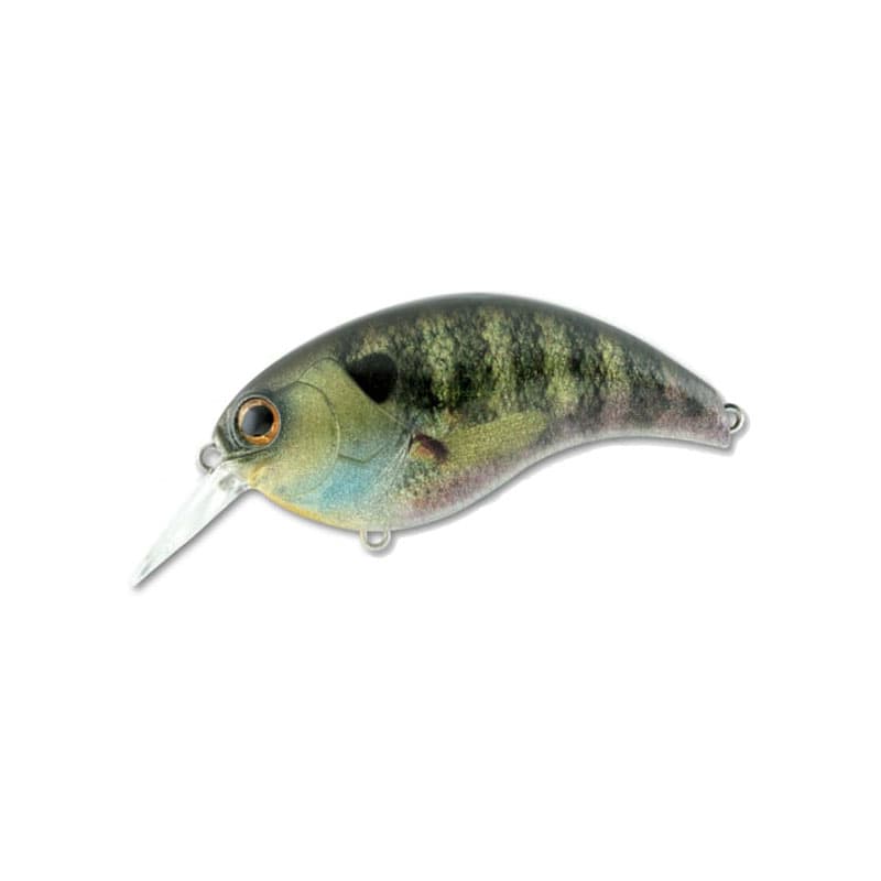 Deps Evoke 3.0 #01 Real Bluegill