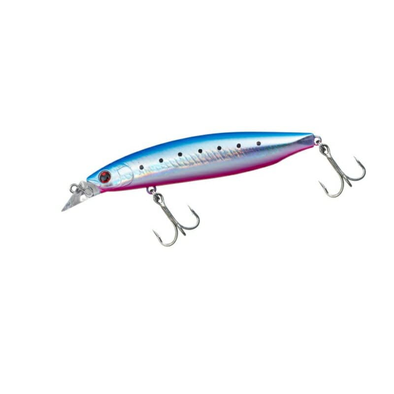 Daiwa Shoreline Shiner Z Vertice R 98S Aderu Buru Pin Iwashi