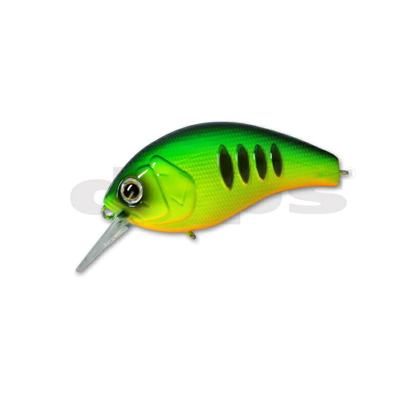 Deps Korrigan Magnum 450 #41 Dot Tiger