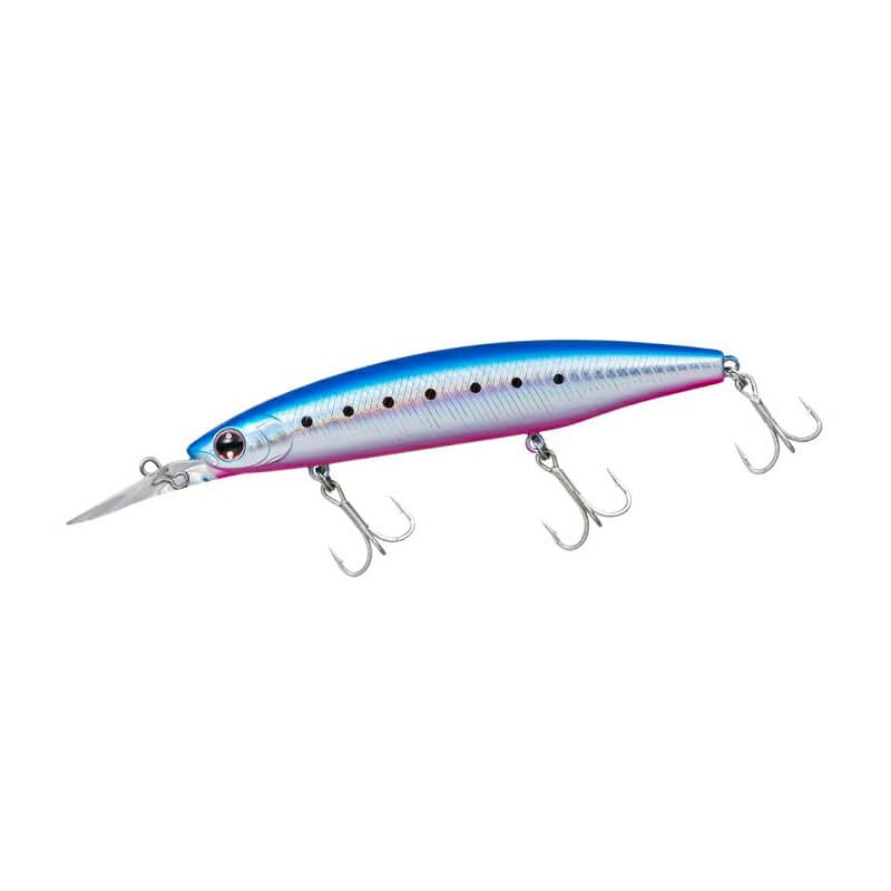 Daiwa Shoreline Shiner Z Set Upper 110SDR Adel Blue Pink Iwashi