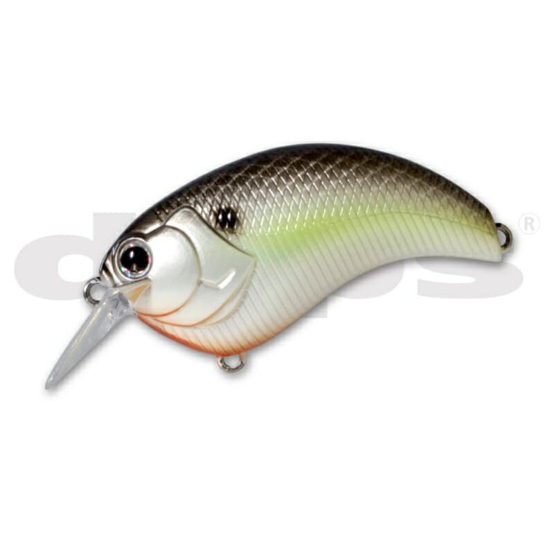 デプス　イヴォーク 1.8 #18 ブラックバックシャッド　【釣具　釣り具】