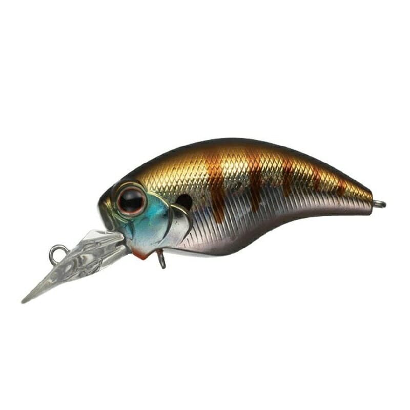 Evergreen Wild Hunch SR #50 Baby Gill