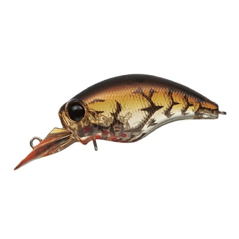 Evergreen Wild Hunch SR #81 Bleeding Brown Claw