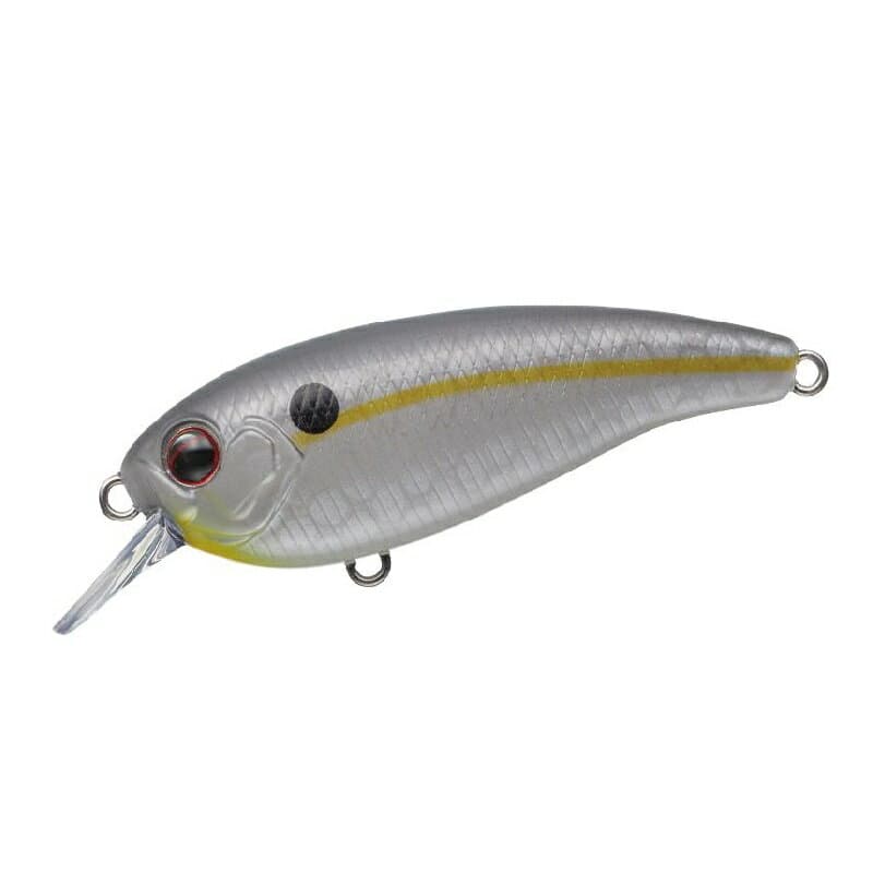 Evergreen Belcanto #417 Secret Shad