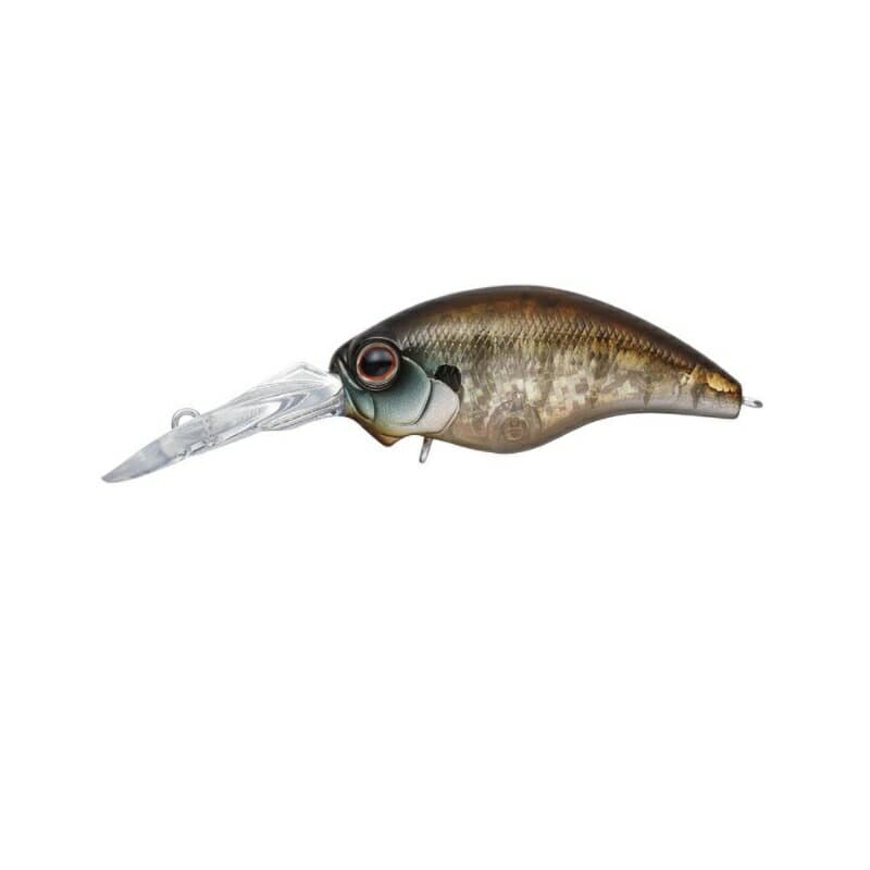 Evergreen Bass Lure MoDO Wild Hunch #246 Young Gill