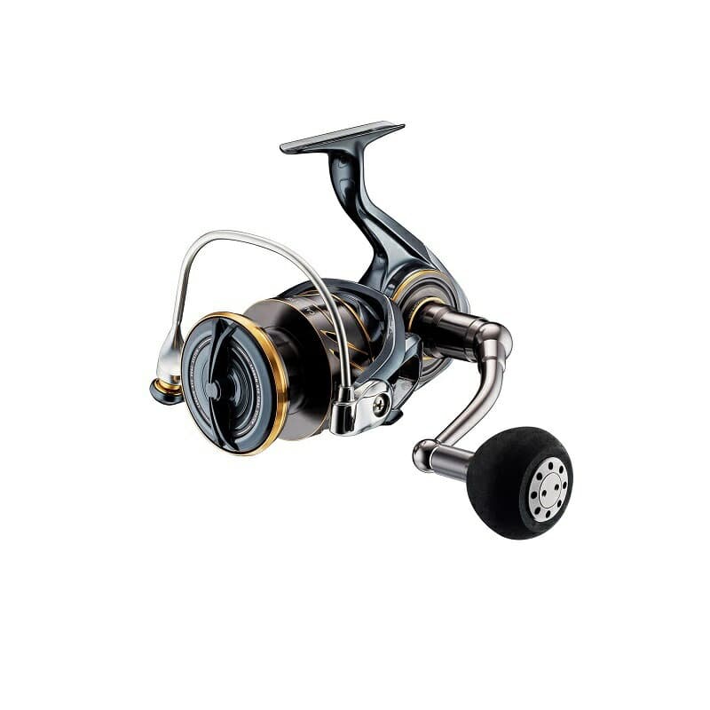 Daiwa 22 Caldia SW 14000-H