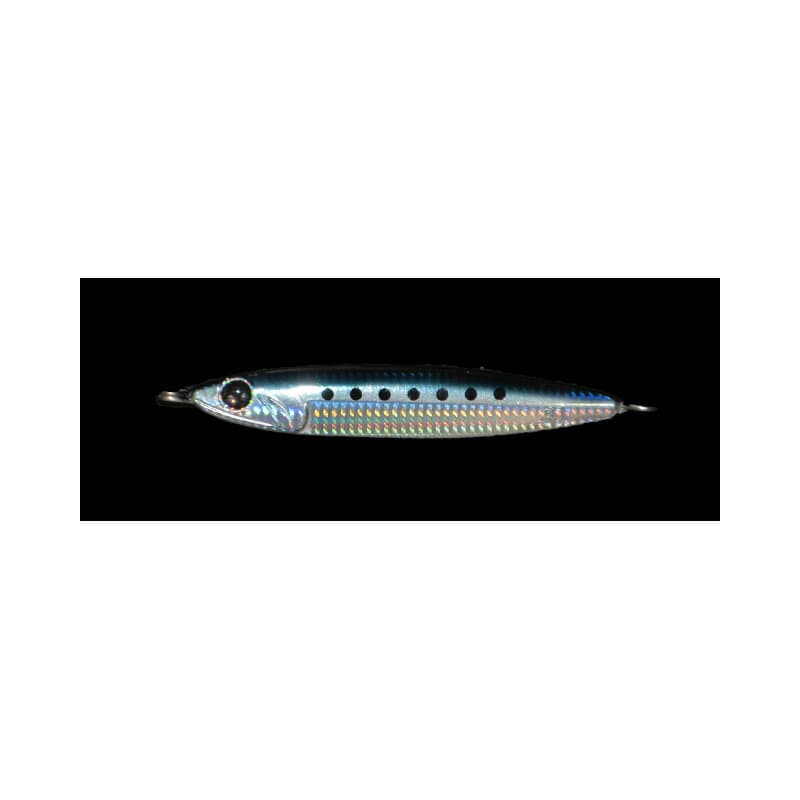 Zeake R Sardine 40g 002 Maiwashi