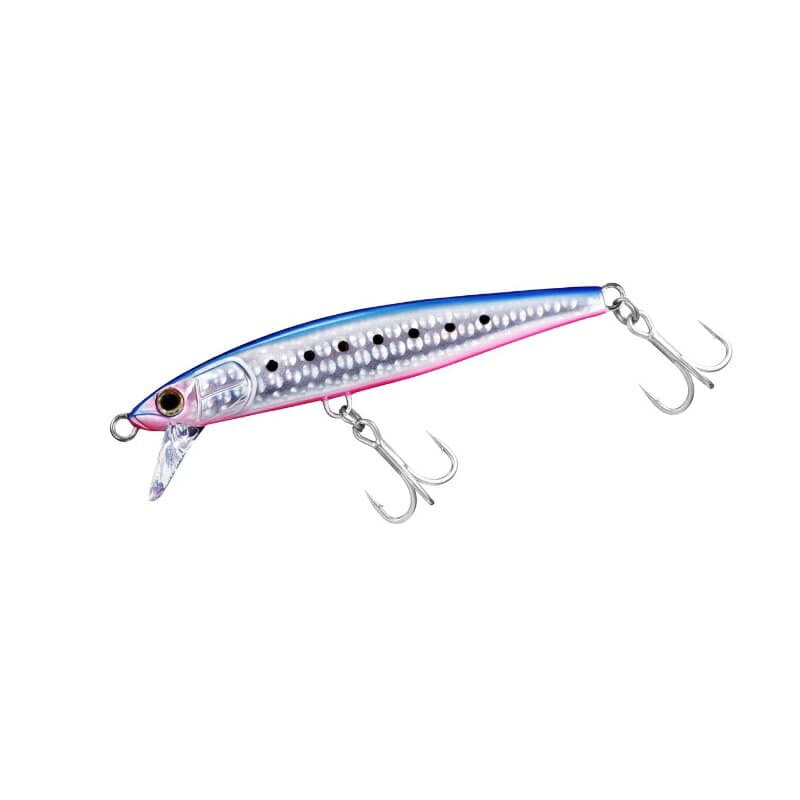 Daiwa Sawarash 110HS Blue Pink Iwashi
