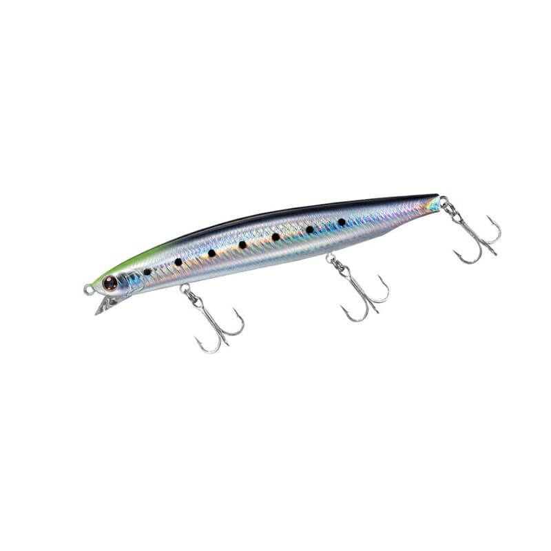 Daiwa Shoreline Shiner Z Vertice R 125F-SSR Adel Chart Head Iwashi