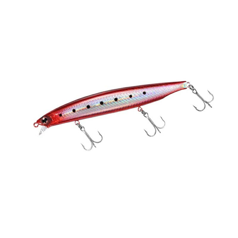 Daiwa Shoreline Shiner-Z Vertice R 125F-SSR Adele Burning Sardine